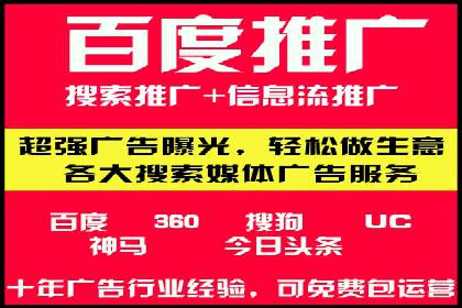 网络推广策略：竞价广告的实践案例